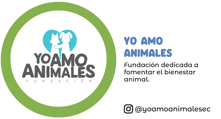 yoamoanimales